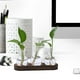 thumbnail image 5 of Florero hidropónico, florero de brotes, soporte moderno para plantas, maceta, florero, macetero de cristal para escritorio, balcón, mesa de cena,, 5 of 8