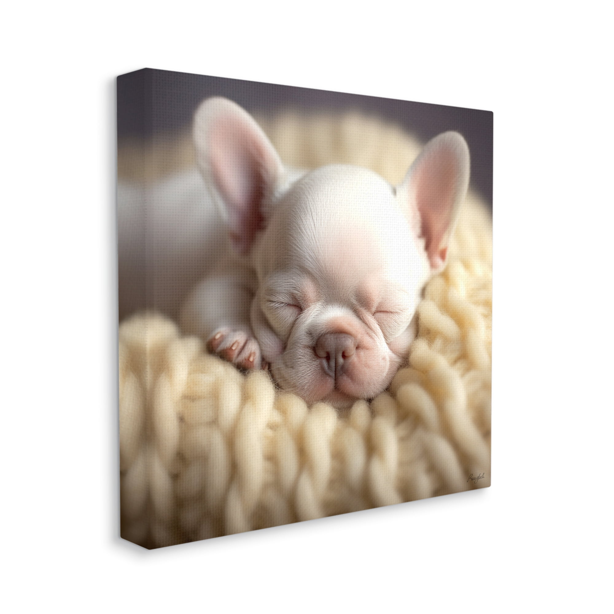 Stupell Industries Tiny Puppy Sleeping Animals & Insects Painting Gallery Wrapped Canvas Art Print Wall Art, 36 x 36