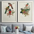 thumbnail image 7 of Elegant Trogons IX - Premium Framed Canvas 2 Piece Set - Ready to Hang, 7 of 7