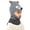 R346-Grey, variant on Kids Balaclava Face Mask Winter Ski Mask Hat Hooded Scarf Windproof Cute Ear Hat for Boy Girl,One Size