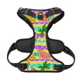 thumbnail image 5 of Lsque Multicolored Tropical Dog Harness, No-Pull Pet Harness with 2 Leash Clips, Adjustable Soft Padded Dog Vest with Easy Control Handle for Large Dogs-Large, 5 of 9