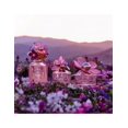 thumbnail image 4 of Perfume Marc Jacobs Daisy Eau So Fresh Paradise EDT 75 ml para mujer, 4 of 4