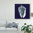 thumbnail image 3 of Trademark Fine Art 'Y SE PAPER Indigo Shells II' Canvas Art by Vision Studio, 3 of 4
