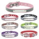 thumbnail image 5 of Collar para perros sin olor de todos los estilos Dublin Dog, 5 of 5