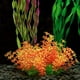 thumbnail image 1 of BESTYASH 7Ud De Reutilizables Sin Para En De Peces, 1 of 8