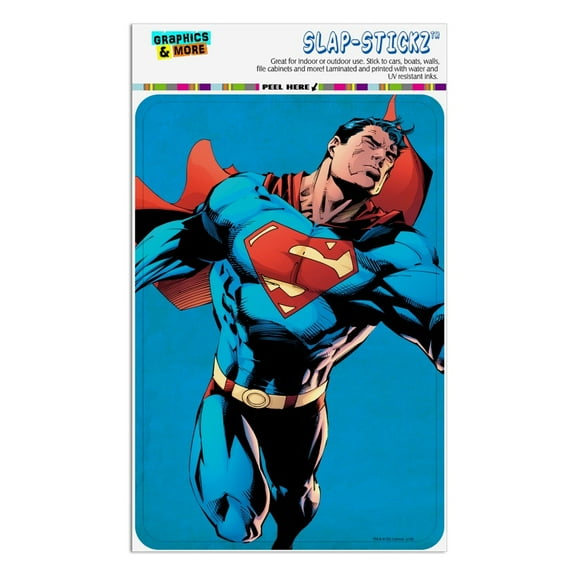 Superman Character Home Business Office Sign
