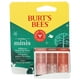 thumbnail image 1 of Bálsamo labial Burt's Bees Holiday Minis, 3 unidades, 1 of 6