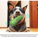 thumbnail image 4 of Puede limpiar juguetes para perros, cepillo de dientes para perros, juguetes de goma para masticar para perros S y medianos, amarillo, 4 of 4
