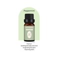 thumbnail image 2 of Price Drop Coconut oil Essential oils 10ML Candle Unilateral Sweet Orange Aromatherapy Teatree Oil Lavender DIY Candle Material Oil-Soluble Aromatherapy Essentialoil(buy 2 get 10% off), 2 of 5