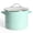 Blue, variant on Martha Stewart Thayer Enamel on Steel 16 QT Steamer Pot W/ SS Insert