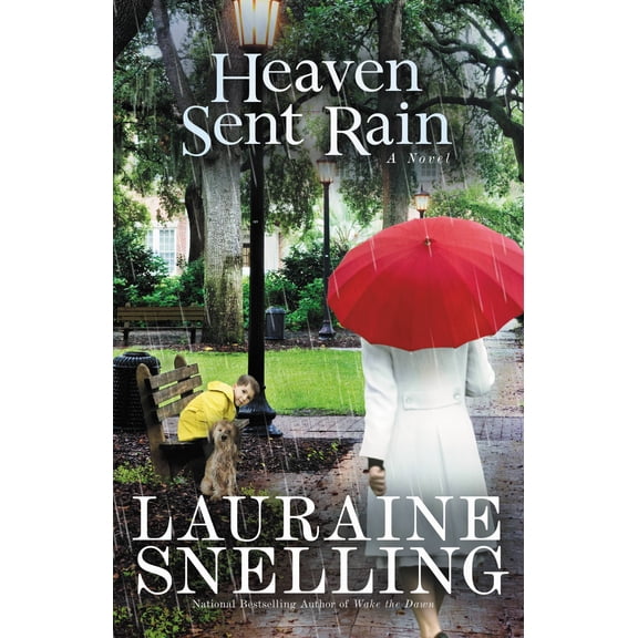 Heaven Sent Rain : A Novel (Paperback)