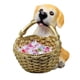 thumbnail image 2 of Cesta de Almacenamiento Advancent Forma de Animal para Oficina y Hogar, 2 of 6