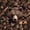 Brown 01, variant on Manfei Black Bear 7 Pieces Full Size Bedding Sets,Autumn Deer Pattern Full Size Bed in a Bag,Black Reversible