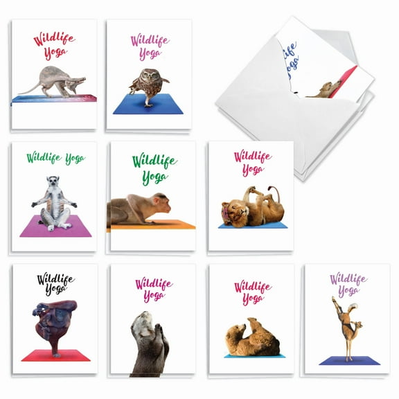 20 Blank All Occasion Cards Assorted (10 Designs, 2 Each) - Wildlife Yoga All Occasion (4" x 5.12") AM7030OCB-B2x10