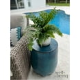 thumbnail image 4 of Nature's Way Farms Fern Macho Live Plant (25-30 in. Tall) in Grower Pot, 4 of 4