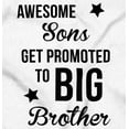 thumbnail image 2 of Awesome Promoted to Big Brother Youth T Shirt Tee Boys Infant Toddler Brisco Brands 3T, 2 of 5