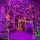 thumbnail image 4 of Cadena de luces LED Kemooie 300 de 30 m, color naranja y morado, resistente al agua, 4 of 7