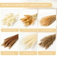 thumbnail image 2 of 110 Pcs Natural Pampas Grass Bouquet Decor Boho Home Decor Dried Reed Flowers Bouquet for Wedding Floral Arrangements Wall Bathroom Décor, 2 of 7
