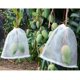 thumbnail image 4 of 100 Uds. Bolsa de protección para plantas y frutas de jardín bolsa de red con cordón insectos plagas de mosquitos pájaros bolsas protectoras para jardín 25cm X 15cm, 4 of 5