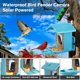 thumbnail image 4 of Comedero Inteligente para Pájaros Homiefans con Cámara Solar 2.5K HD, 4 of 9