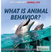 What Is Animal Behavior?