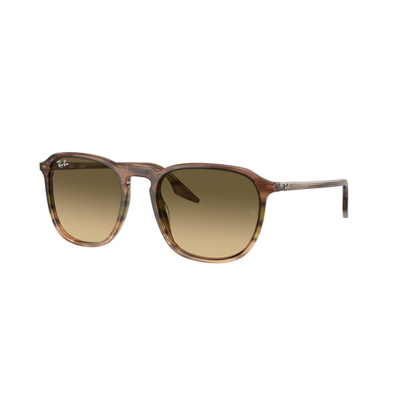 Sunglasses Ray-Ban RB 2203 13920A Striped Brown Gradient Green B