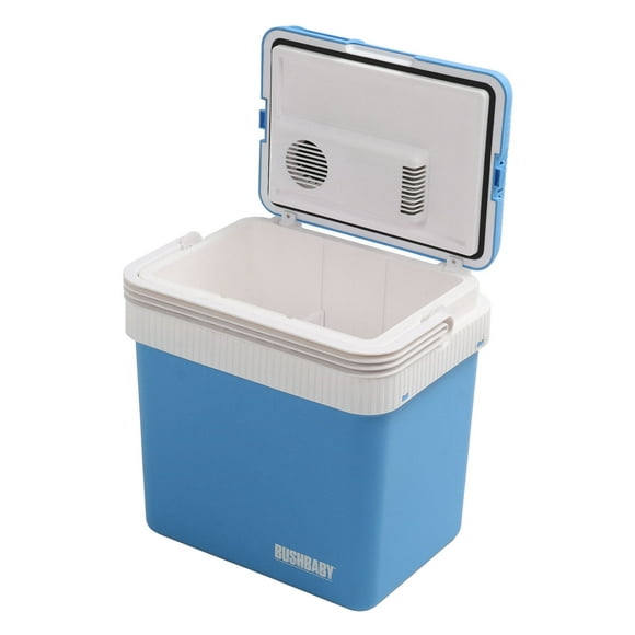 Electric Cooler and Warmer, Mini Fridge Efficient with Handle for Car