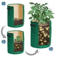 thumbnail image 3 of SUNNYOUTDOOR 10 Gallon Garden Potato Planting Grow Bag Fabric Pot Planter Vegetable Potato Grow Bags with Flap Window and Durable Handle, Outdoor Use (3 Pack), 3 of 4