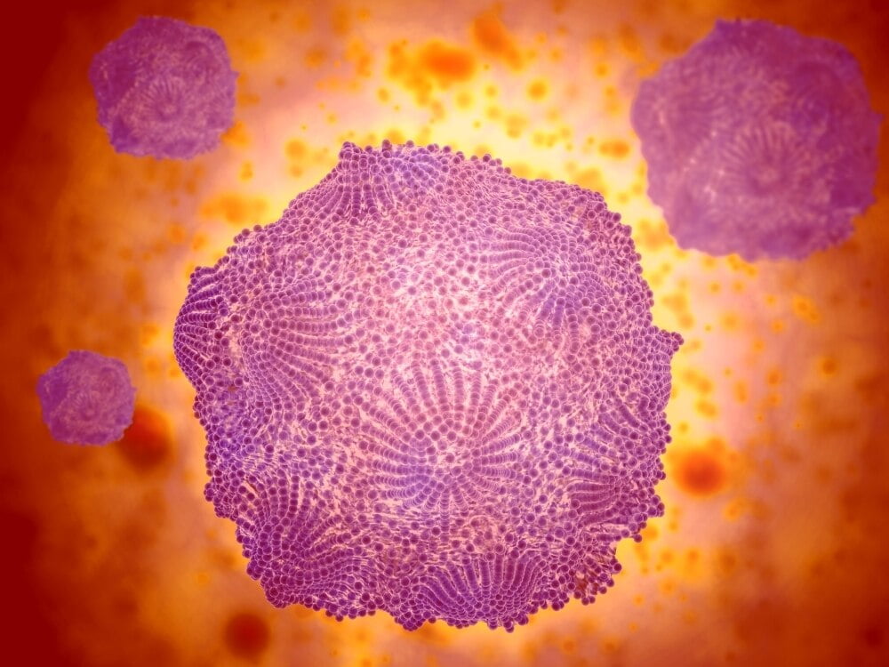 Microscopic view of Canine Parvovirus. Canine Parvovirus is a highly