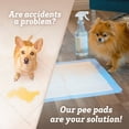 thumbnail image 5 of Paws & Pals Large 5-Layer Leak-Proof Pet Training Pads, 22 in x 22 in, 150 Count, 5 of 6
