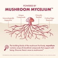 thumbnail image 4 of Host Defense MycoBenefits Beauty Capsules - 60 Capsules (30 Servings), 4 of 8