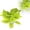 A, variant on Eqslft 1PC Artificial Variegated Leaf Stems, Pothos and Calathea Foliage, Greenery Picks for Floral Arrangements, Home Decor, and Office Styling