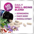 thumbnail image 6 of Menopause Supplements for Women - Hot Flash Night Sweats & Menopause Relief Pills - Probiotic Blend 8 Billion CFU Per Serving with Dong Quai & Black Cohosh - Vaginal, Digestive Support - 60 Capsules, 6 of 9