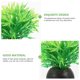 thumbnail image 3 of ADDHAT 20Ud Artificiales Para Peceras Y Terrarios Con Material Y Duradero, 3 of 6