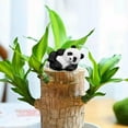 thumbnail image 4 of 2025 New Resin Panda Figurine Desktop Ornament Cute Mini Bear Statue for Birthday Party Cake Topper Tabletop Indoor Decoration Unique Idea, 4 of 8