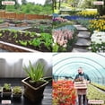 thumbnail image 5 of Medidor de pH de suelo 3 en 1, medidor de humedad, luz y pH. Kit de herramientas de jardinería para el cuidado de plantas. Ideal para jardines, céspedes y granjas. Uso en interiores y exteriores., 5 of 5