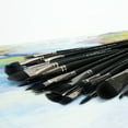 Black Swan Synthetic Red Sable Paint Brushes Explorer Set of 5 High