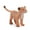 F, variant on Cheers Simulation Wild Zoo Lion Tiger Animals Action Figures Model Educational Toy for Play