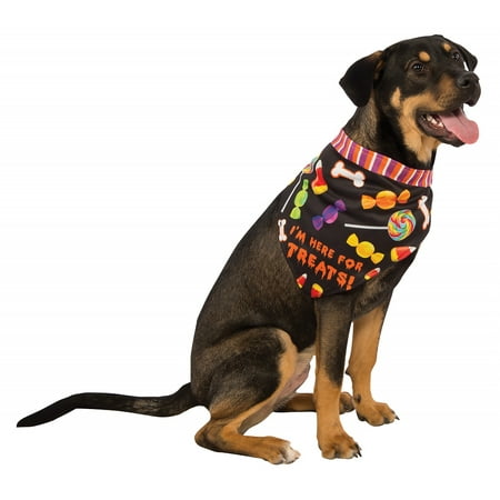 Dog Bandana Pet Costume Accessory Here for the Treats - Medium/Large