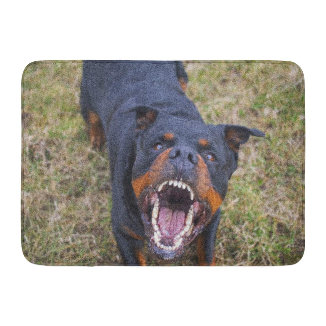 Mad Rottweiler