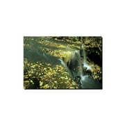 Trademark Art "Fall Falls" Canvas Art by Kurt Shaffer