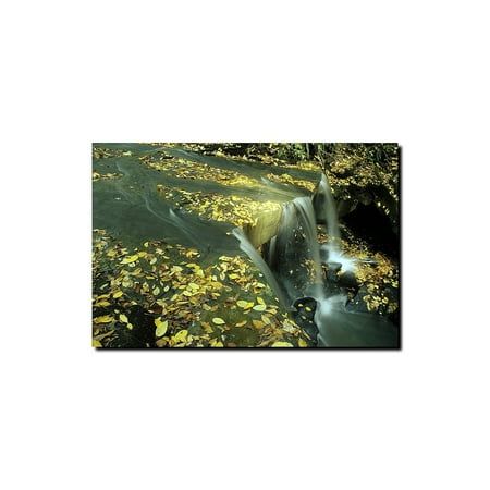 Trademark Art "Fall Falls" Canvas Art by Kurt Shaffer
