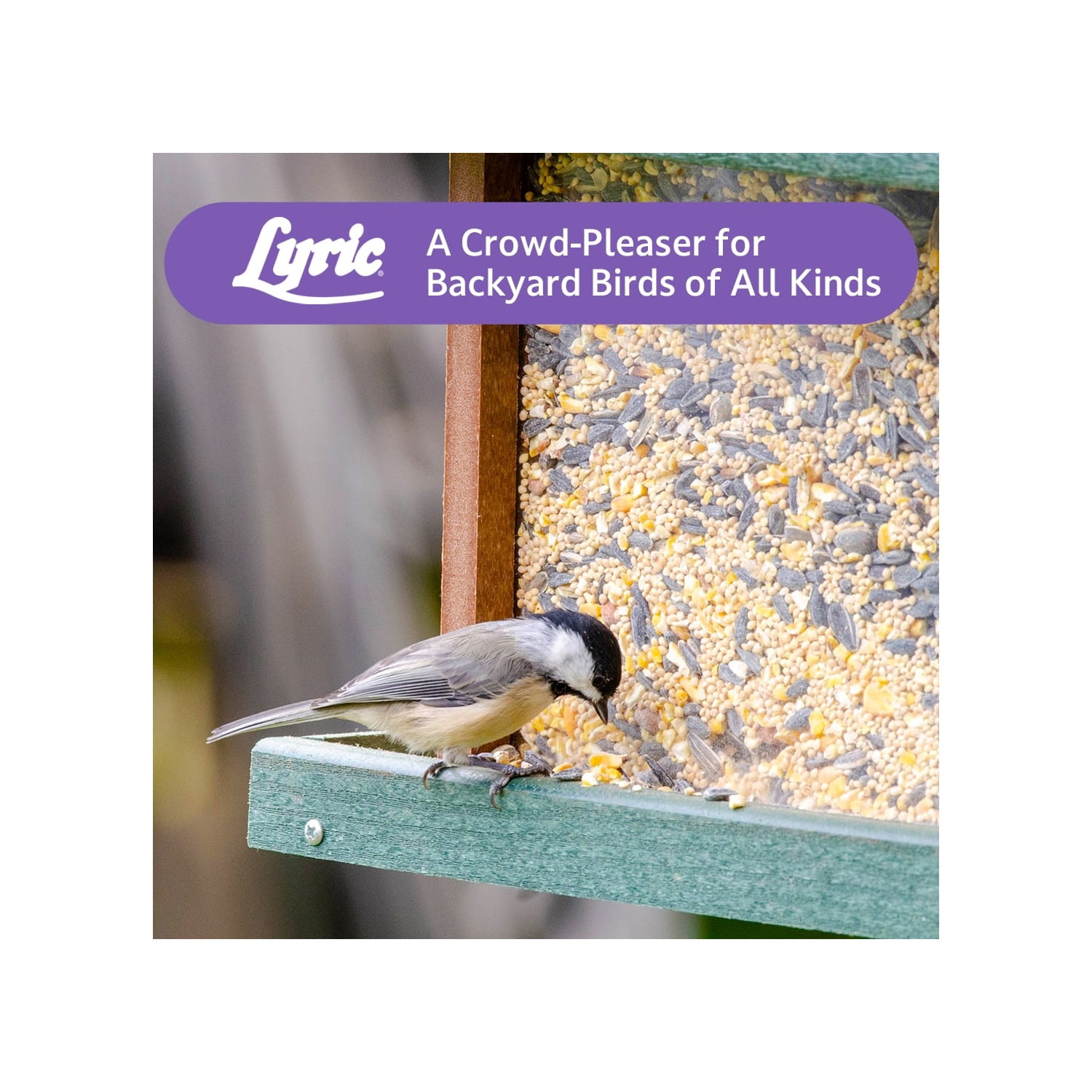 Lyric Wild Bird Mix Bird Seed, Bird Food for Outside Feeders - 20 lb. Bag