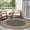 Charcoal, variant on Nourison Horizon Indoor/Outdoor 2' x 3' Green Modern Rug