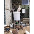 thumbnail image 4 of Solar Poultry Automatic Timing Feeder Chicken, Duck, Goose, Pigeon Trough Fish Pond Feeder ,One-Click Setup, 4 of 6