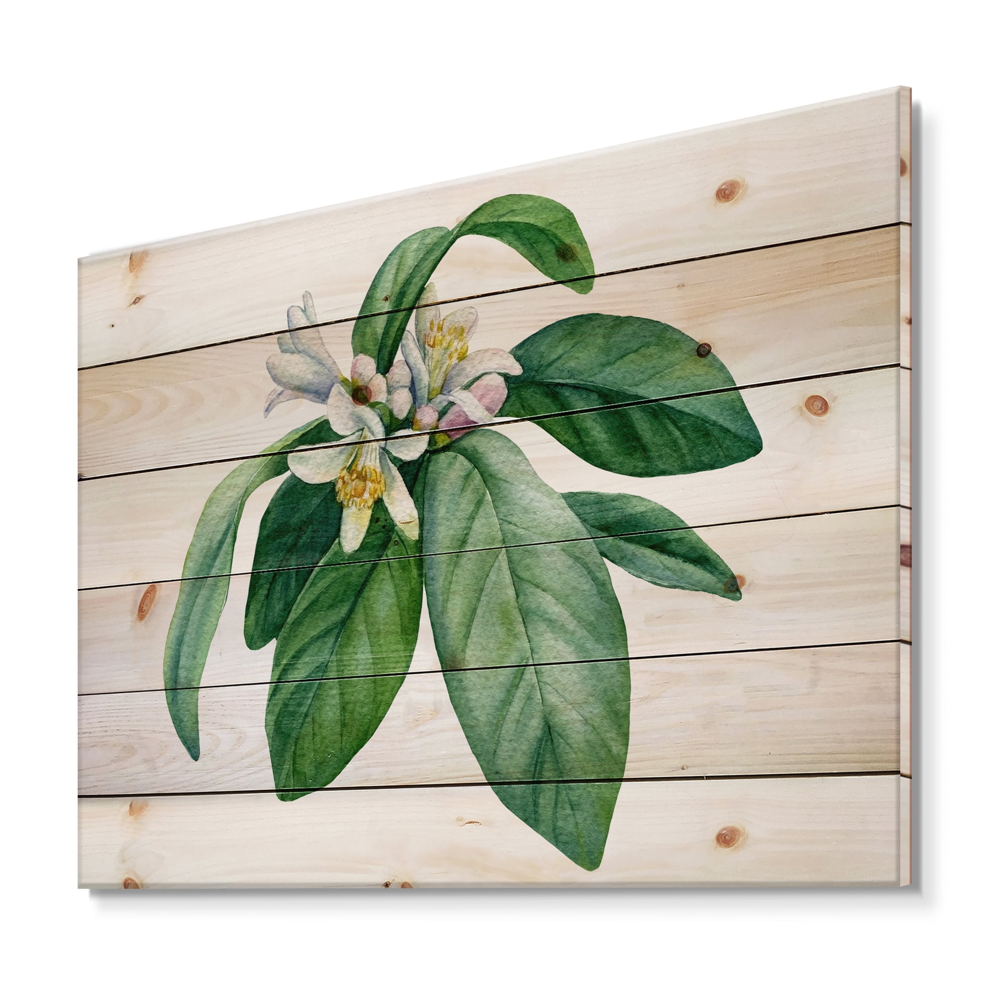 Designart 'Flowering Mandarin With Branch' Traditional Print on Natural Pine Wood