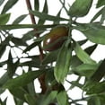 thumbnail image 3 of Vickerman 27" Artificial Green Olive Hill Tree., 3 of 8