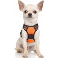 thumbnail image 1 of Rabbitgoo Arnés para Perros, Arnés para Mascotas sin Tirones con 2 Clips para Correa, Chaleco para Perros Acolchado Suave y Ajustable, Chaleco Oxford Reflectante para Mascotas sin asfixia con asa de f, 1 of 4