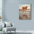 thumbnail image 3 of Trademark Fine Art 'Looking Glass Longhorn' Canvas Art by Kathy Winkler, 3 of 4