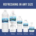 thumbnail image 3 of Ice Mountain 100% Natural Spring Water, 20 fl oz Bottles, 14 Pack | Pure Refreshing Hydration | Recyclable Bottles, 3 of 5